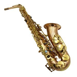 alto saxophone,