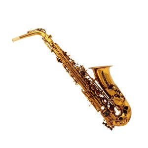 alto saxophone,