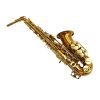 alto saxphone