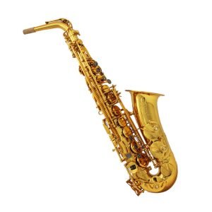 alto saxophone,