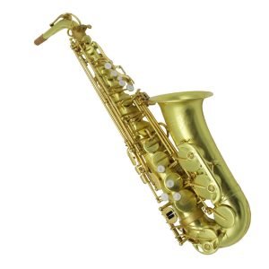 alto saxophone,