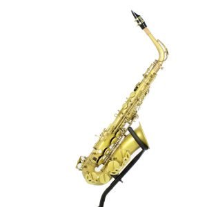 alto saxphone