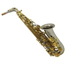 alto saxphone