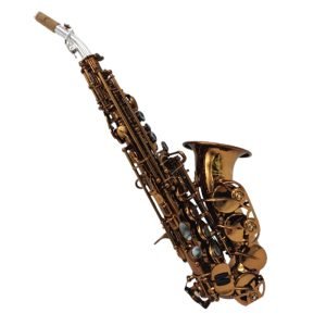 curved soprano saxophone