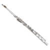 sterling silvr flute
