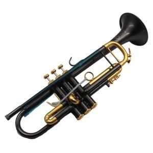 black trumpet