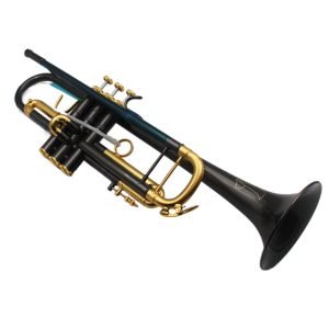 black trumpet
