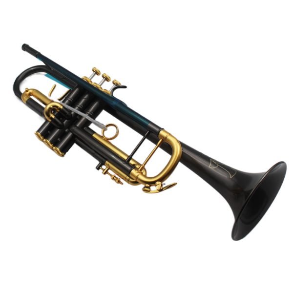 black trumpet