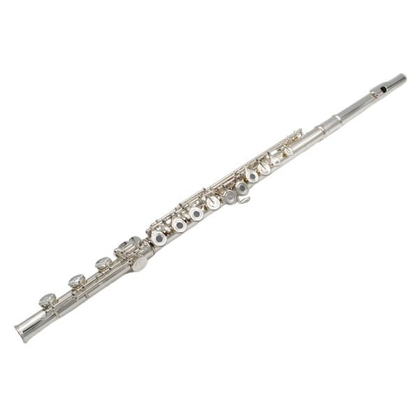 17 open hole flute