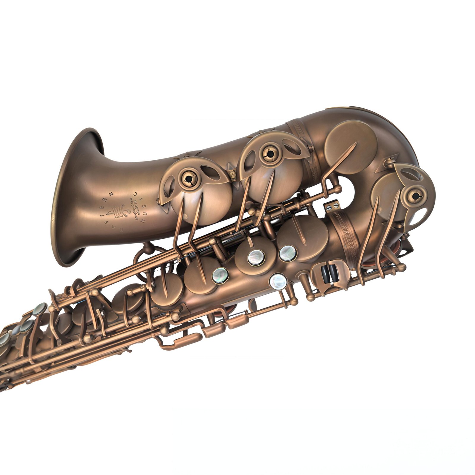 alto saxophone (5)(1)(1) alto saxophone