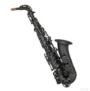 alto saxophone