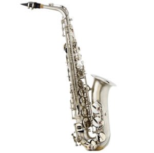 Eastern music  professionl Dotted nickel plated ALTO saxophone