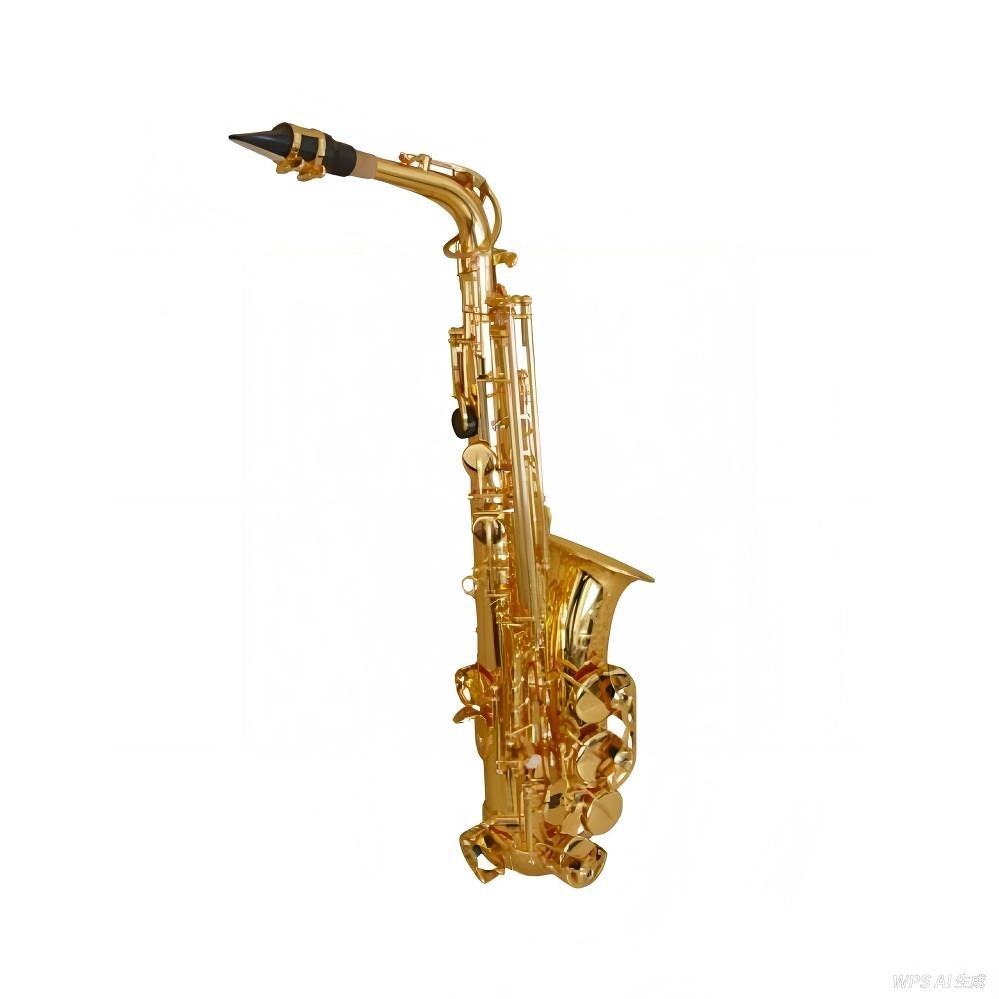 Alto SaxophoneAS200A(5)