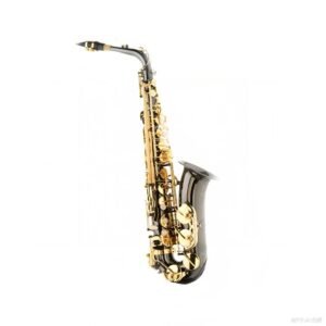 Eastern music Black nickel plate body, Gold lacquer key ALTO saxophone(as200f)