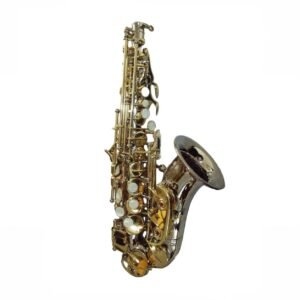 Eastern Music Bb Curved Soprano Saxophone Gold Lacquer Body Hand Engraved