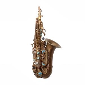 Eastern Music Curved Bb Soprano Saxophone (Brushed Gold Body, Vintage Patina Bell & Hand Engraved)