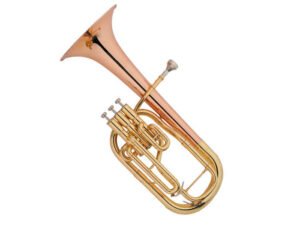 Professional E♭ Tenor / Alto Horn, 12.0mm Bore & 203.2mm Phosphor Copper Bell Instrument, Gold Lacquered