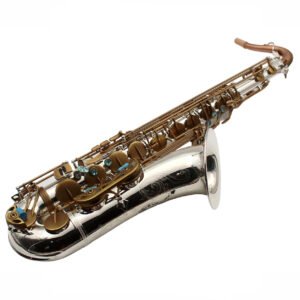 EASTERN MUSIC Model 802 Professional Tenor Saxophone (Premium Silver & Antique Fusion)