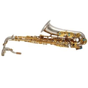 The EASTERN MUSIC "Gold & Silver Fusion" C-Pitch Professional Saxophone